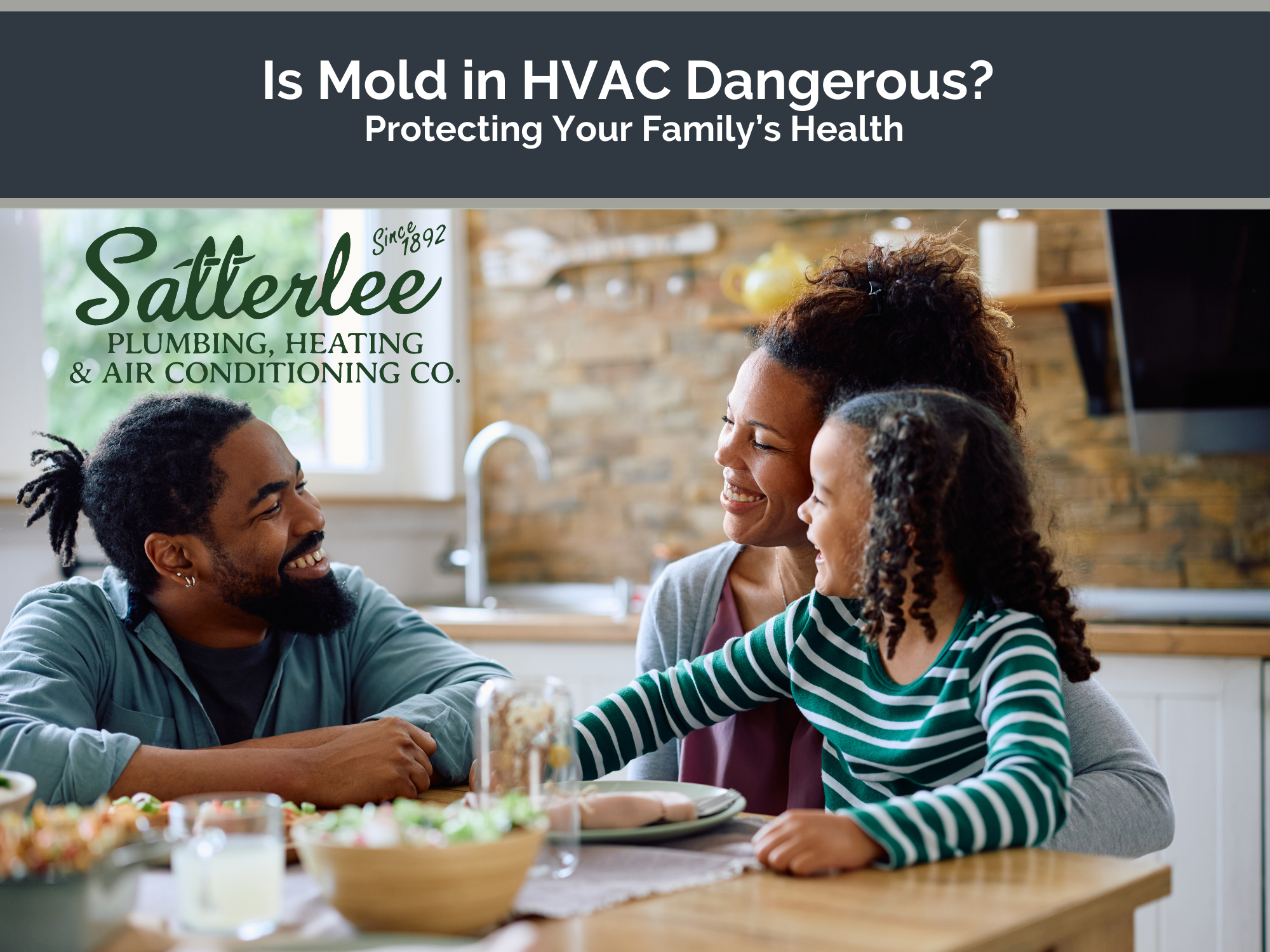 Is Mold in HVAC Dangerous? Protecting Your Family’s Health