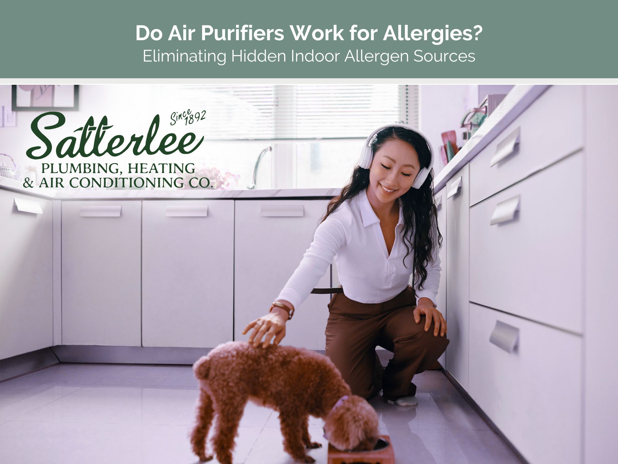 Do Air Purifiers Work for Allergies? Eliminating Hidden Indoor Allergen Sources