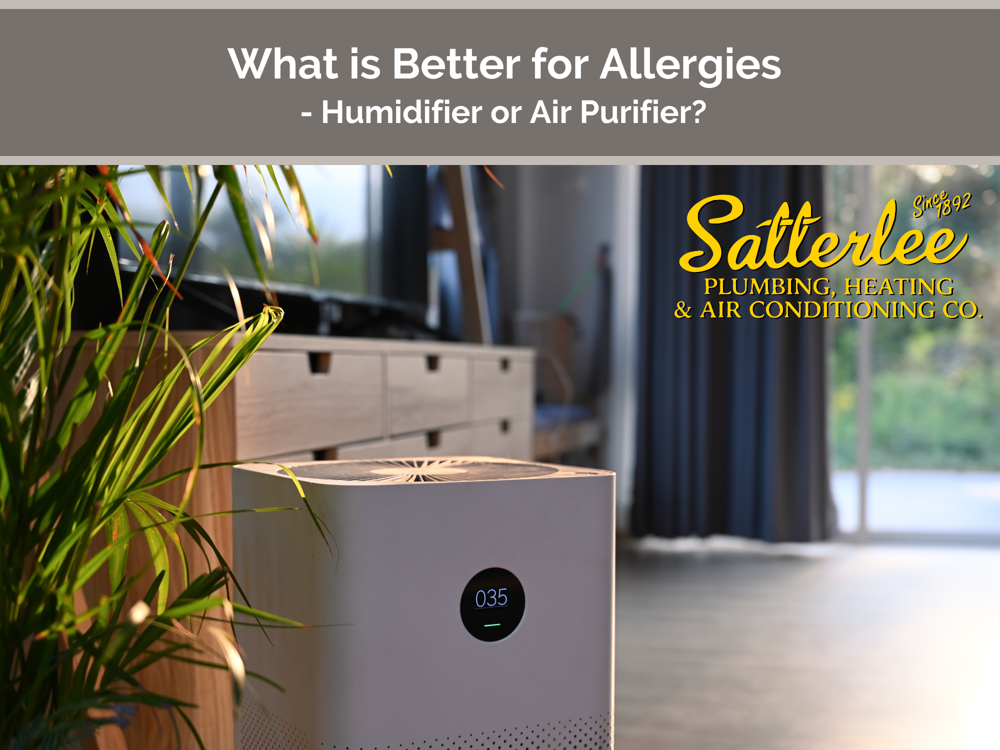 What is Better for Allergies – Humidifier or Air Purifier