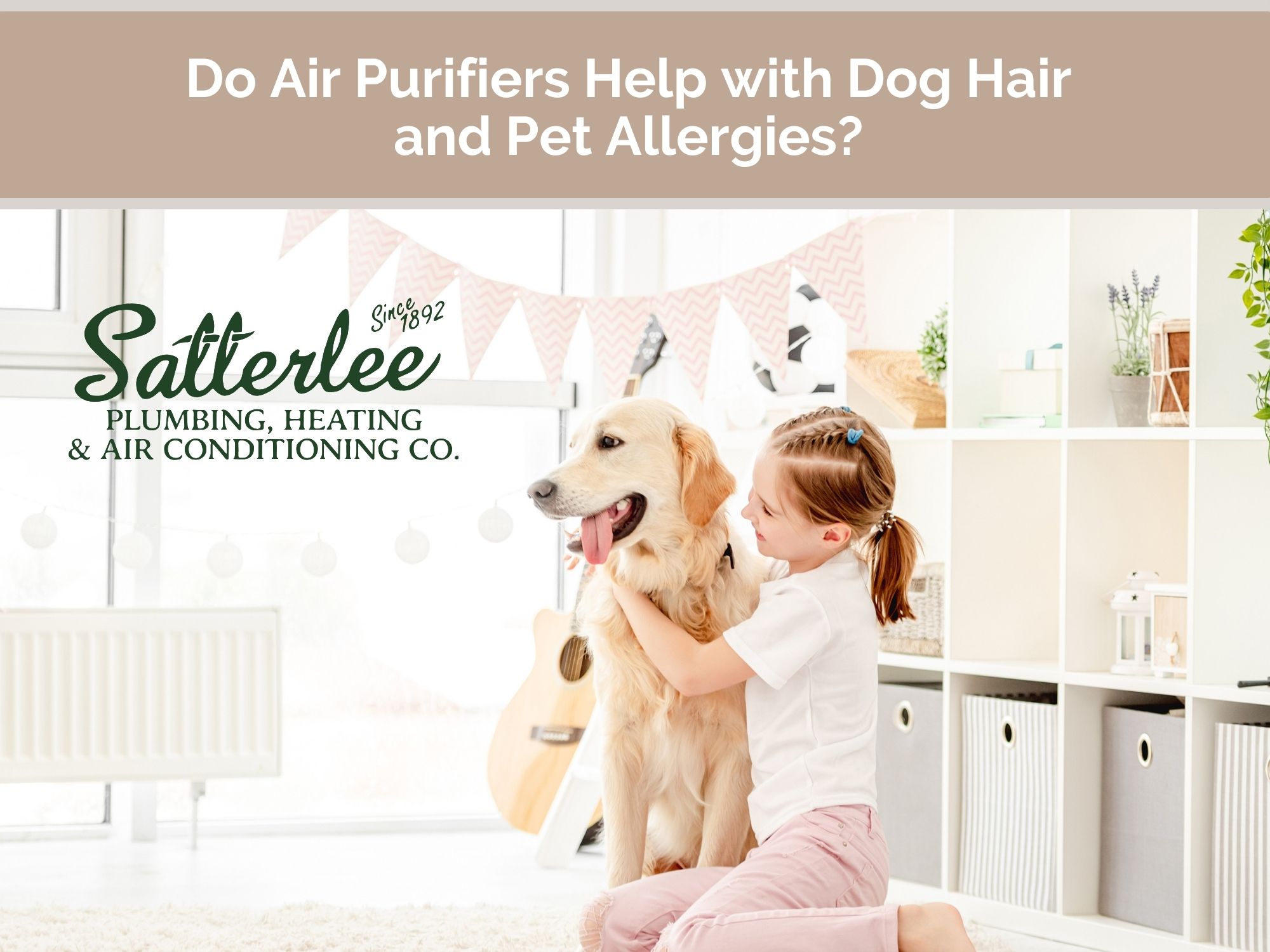 Do Air Purifiers Help with Dog Hair and Pet Allergies?