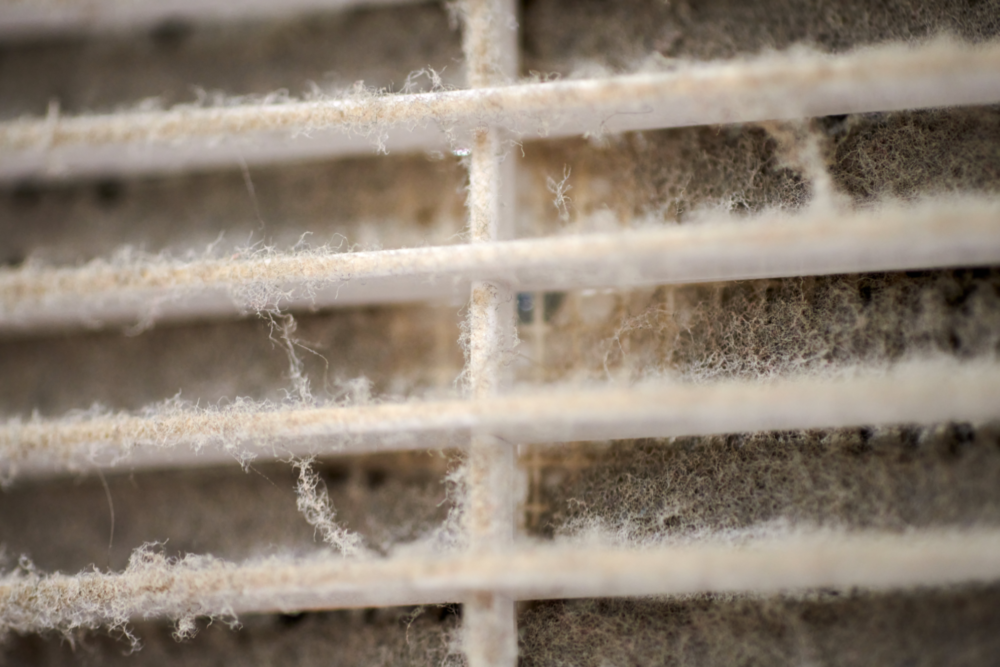 How a Dirty Evaporator Coil Can Turn Into a Frozen Evaporator Coil Satterlee Plumbing, Heating