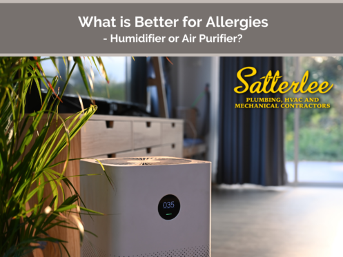What is Better for Allergies - Humidifier or Air Purifier
